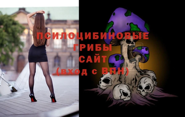 spice Богородицк