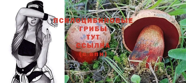 дмт Белоозёрский