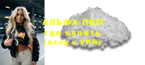 spice Богородицк