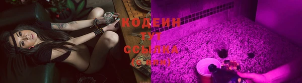 spice Богородицк