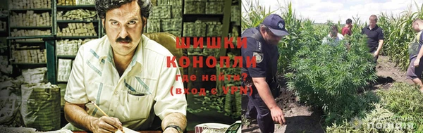 гашик Белокуриха