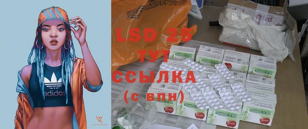 spice Богородицк